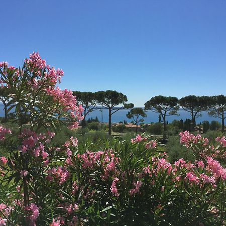 Agriturismo Nonna Bettina Moniga del Garda Экстерьер фото
