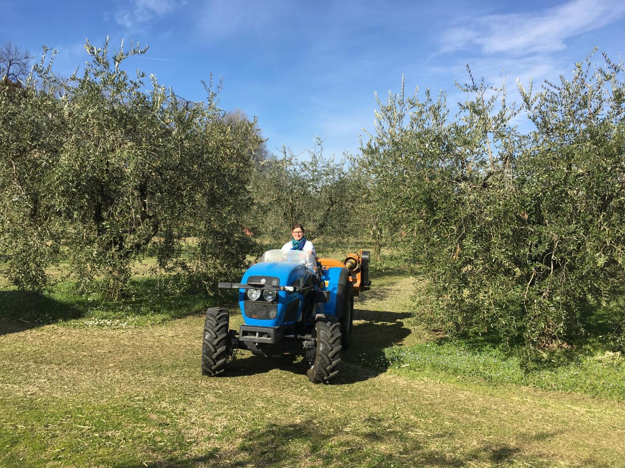 Agriturismo Nonna Bettina Moniga del Garda Экстерьер фото