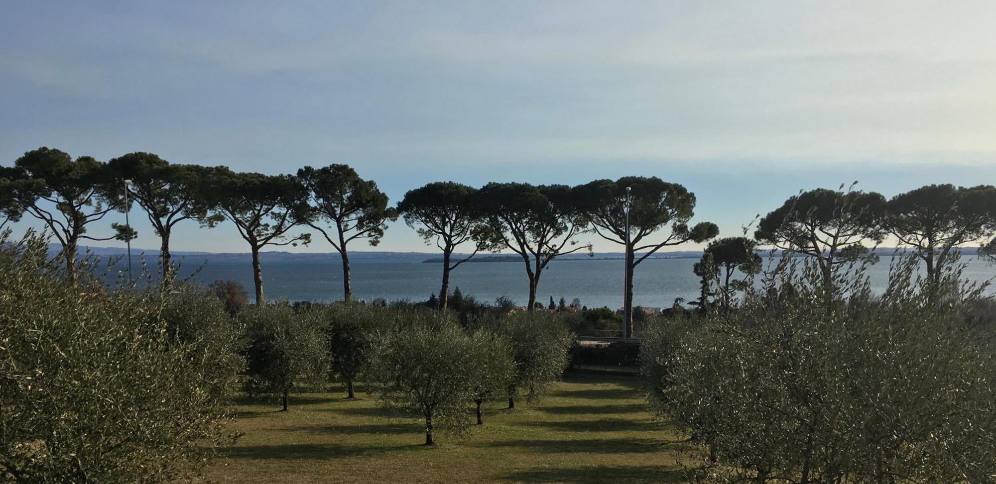 Agriturismo Nonna Bettina Moniga del Garda Экстерьер фото