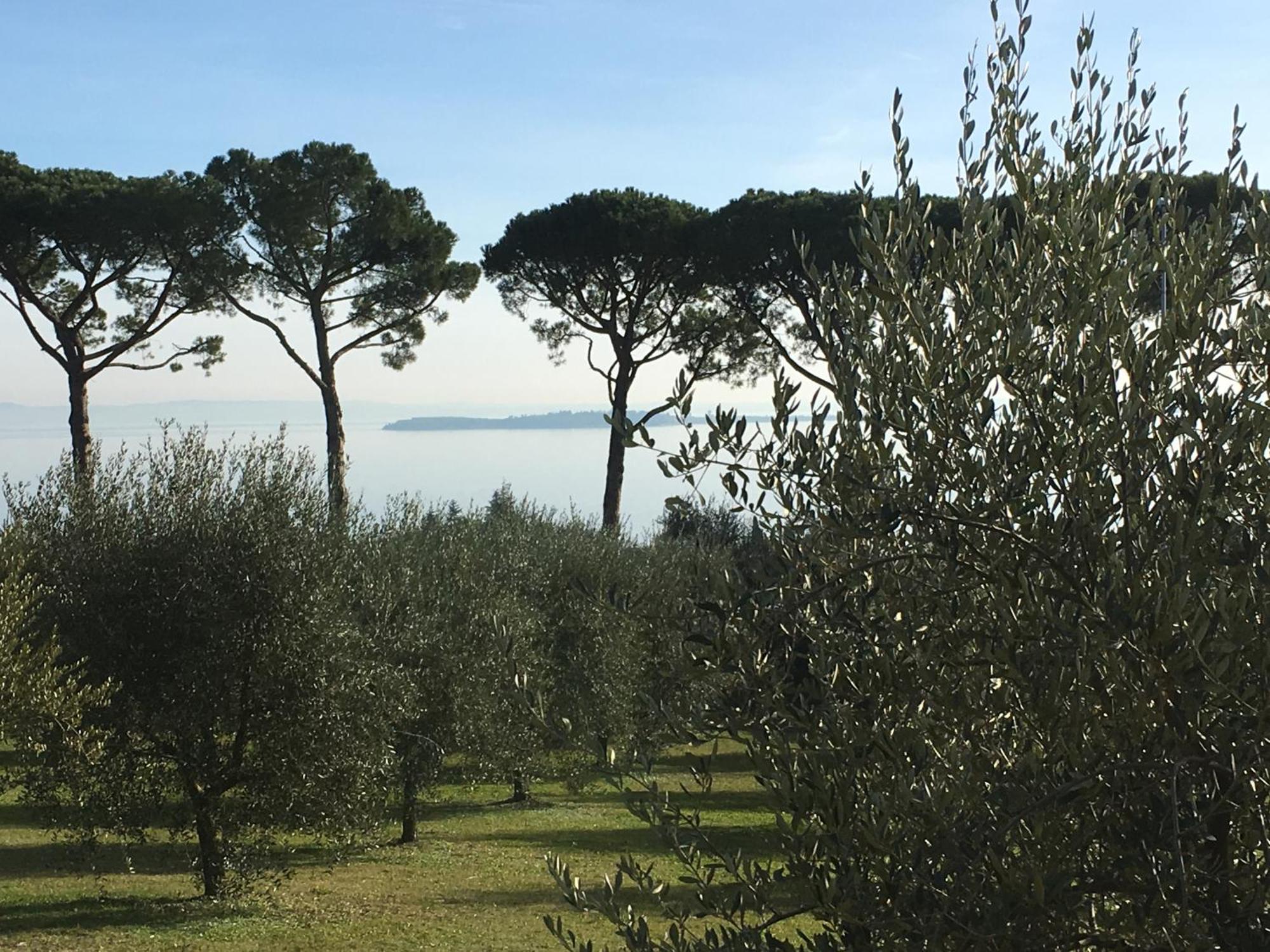 Agriturismo Nonna Bettina Moniga del Garda Экстерьер фото