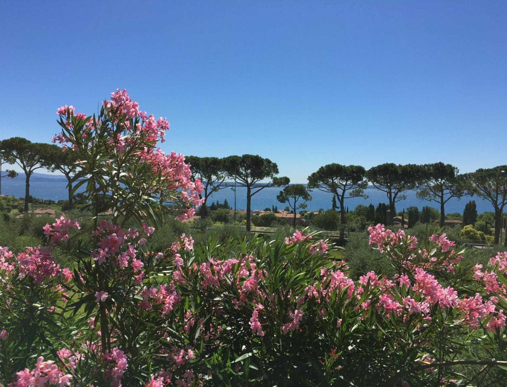 Agriturismo Nonna Bettina Moniga del Garda Экстерьер фото
