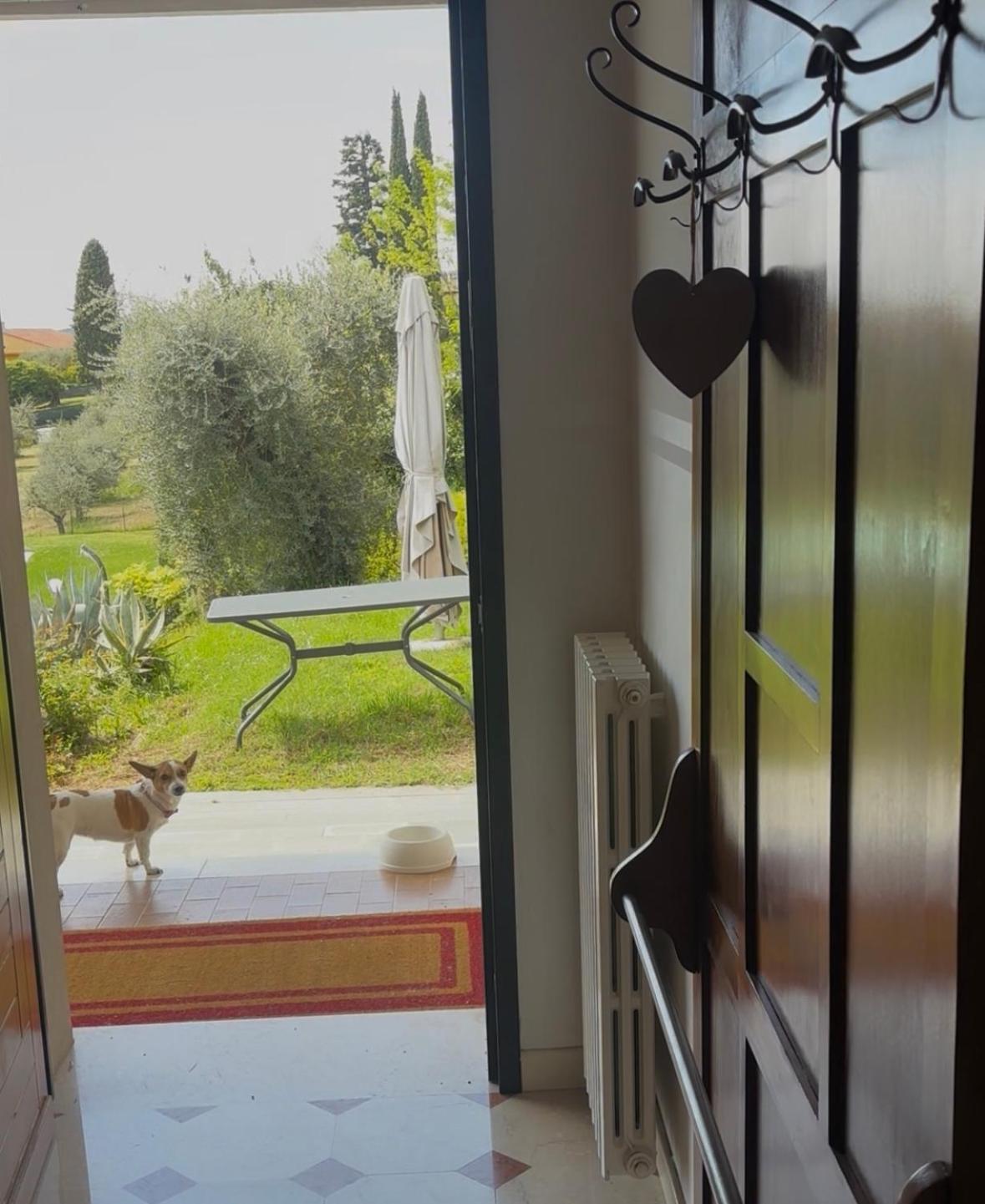 Agriturismo Nonna Bettina Moniga del Garda Экстерьер фото